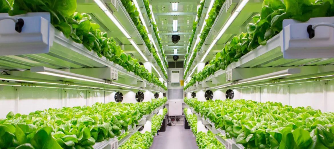 konteyner-sera-konteyner-tarim-001