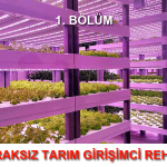 Topraksız tarım, LED grow light, Girişimci Rehberi, pestisit, LED growlight, sıfır karbon ayak izi, karbon emisyonları, karbon salınımı, karbon emisyonu, İklim değişikliği, fotosentez